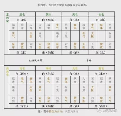 飞字属于五行属什么