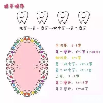 宝宝乳牙生长顺序错了