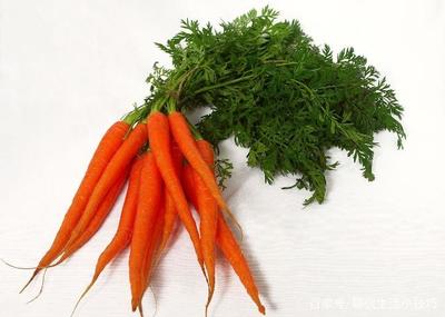 胡萝卜是什么样的