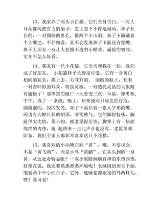 小动物怎么写短文