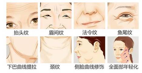 侧脸面相
