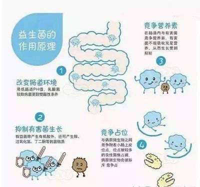 宝宝便秘益生菌怎么吃