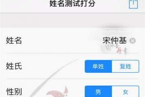 起名测字打分测试