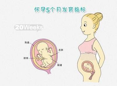 打嗝和怀孕有关系吗