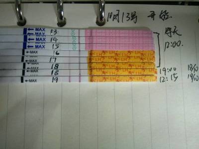 排卵期有多久