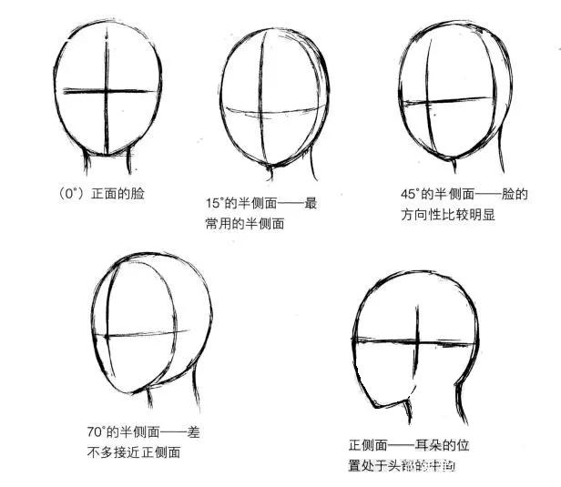 脸型画法