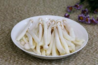 孕妇能吃海鲜菇