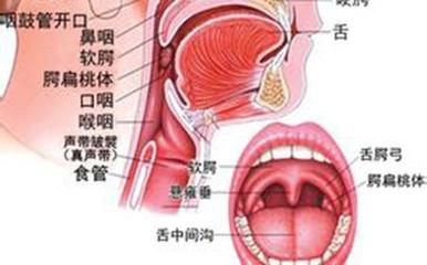 喉咙充血是怎么回事