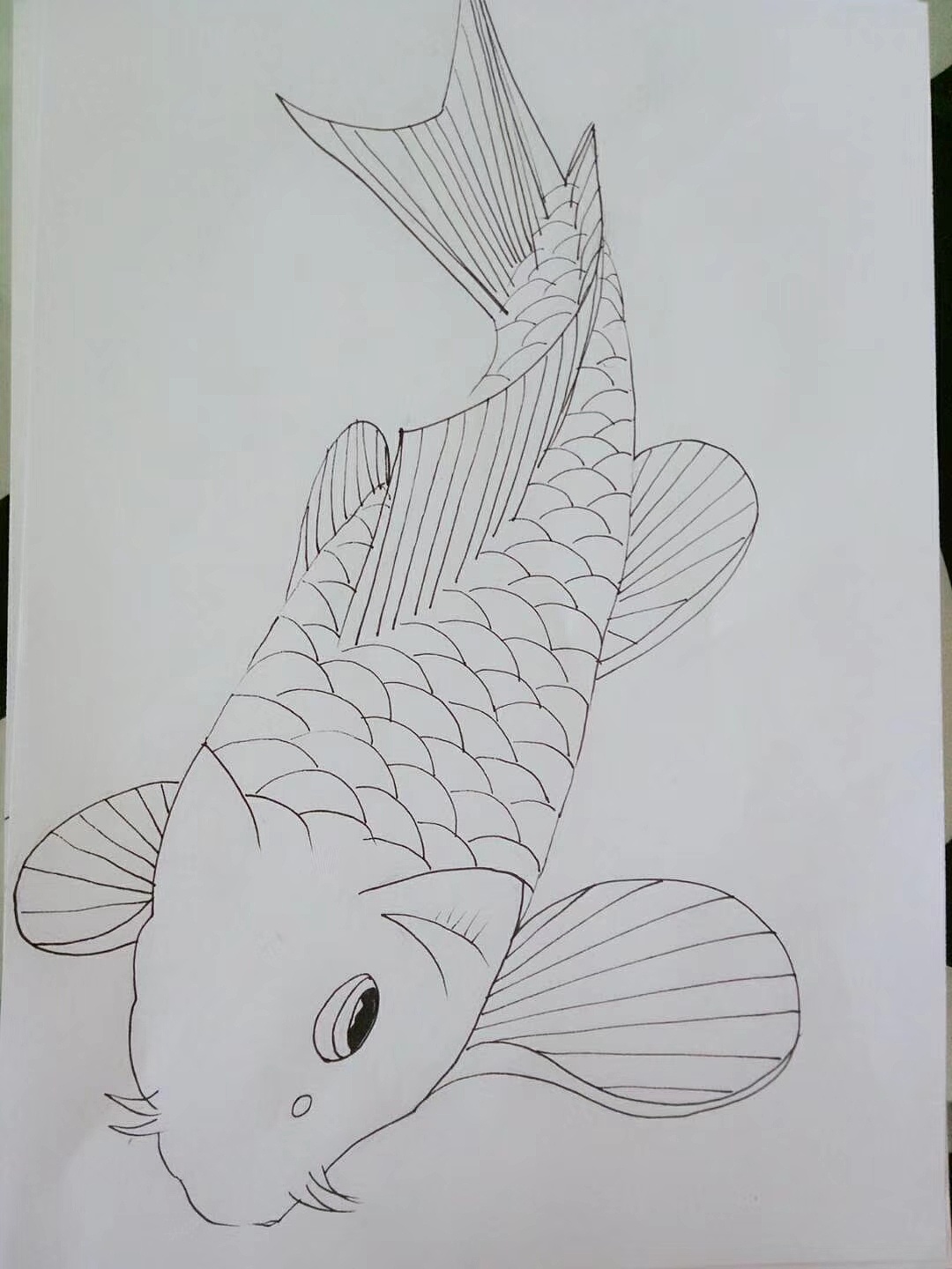 海底下的鱼怎么画