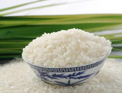 纯天然食用大米多少钱一斤