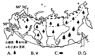 地理农业分布图怎么画