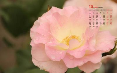 生肖10月运势