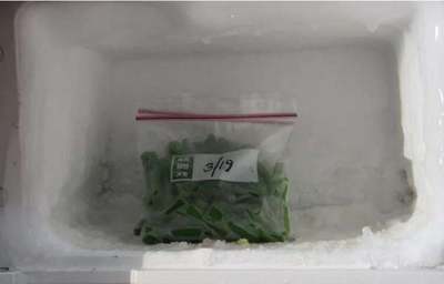 生物冰袋可以放冰箱吗