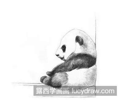 国家熊猫怎么画