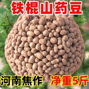 孕妇能吃山药豆吗