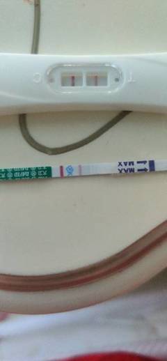 怀孕后会排卵期出血吗