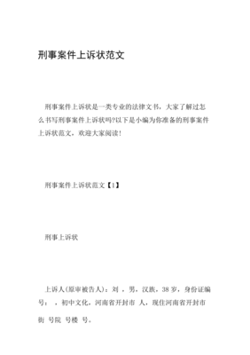 刑事上诉状经典范文