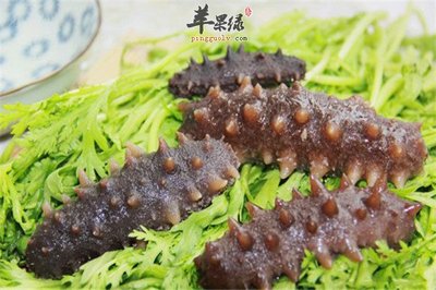 怀孕可以吃海参吗对宝宝好吗