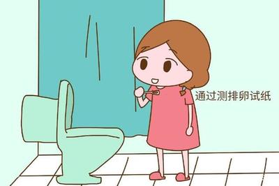 怎么辨别排卵期