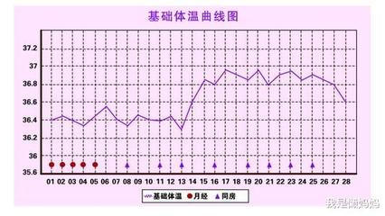 排卵期受孕几率