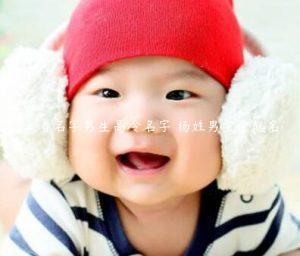 杨姓宝宝起名大全