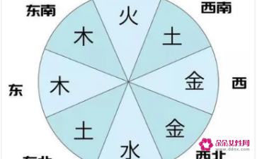 进字五行属什么