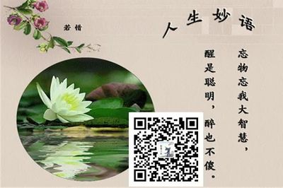 a型血性格特点