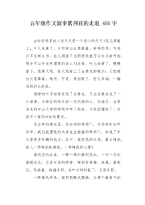 紫荆花作文500字