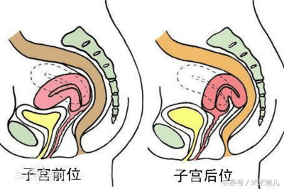 外射会怀孕吗