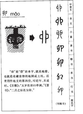 卯五行属什么