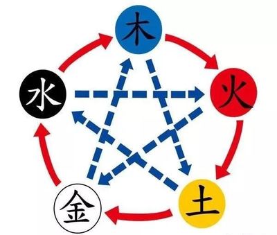 姓名五行解析