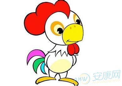 属鸡的人开店起名字