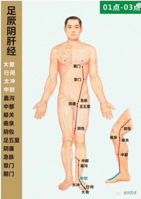 孕妇可以刮背吗