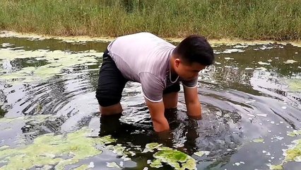 孕妇梦见吃龙虾