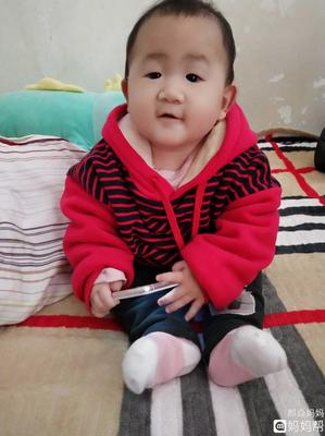 八个月女宝宝身高体重