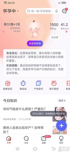 31周是怀孕几个月