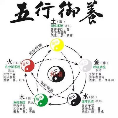 阴阳与五行