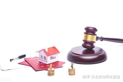 支持起诉原则