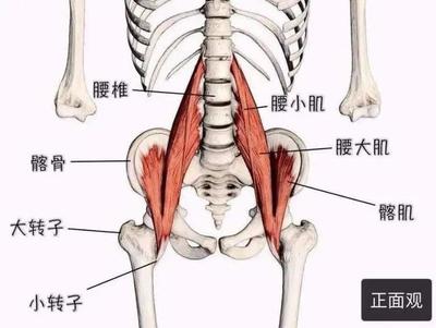 后肋骨疼是怎么回事