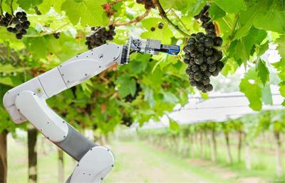 农业机器人是做什么