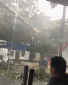 台风东莞