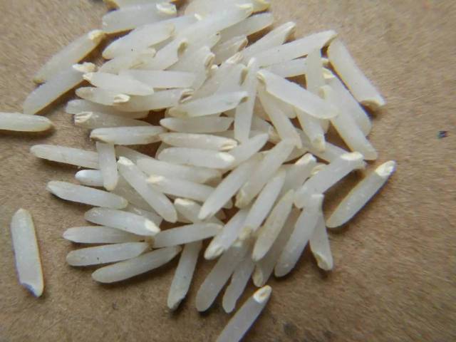 世界粮食之母为什么能被称为粮食之母