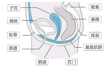 坐月子不能爬楼梯吗