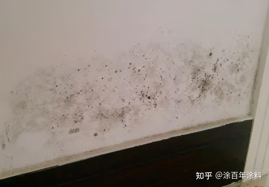 墙面泛碱的原因