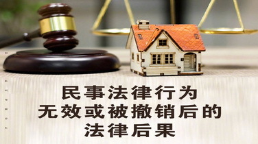 民事法律行为效力