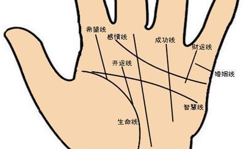 男左手婚姻线图解大全