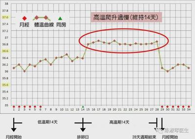 排卵期如何计算