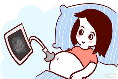 怀孕前期可以喝酒吗