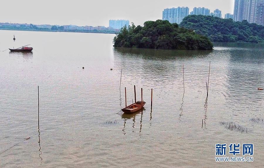 大学城湾咀头湿地公园