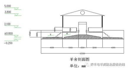 养羊场羊圈设计图